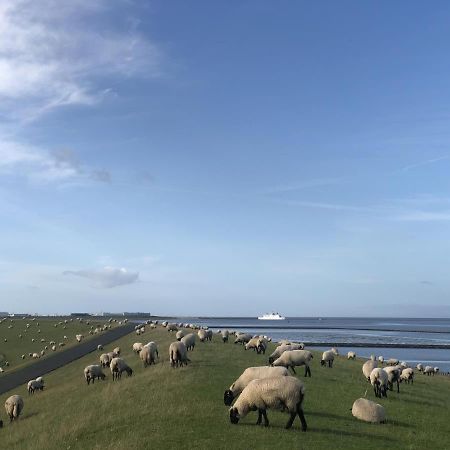Wind Und Meer - Traumhaft An Der Nordsee Norddeich  Luaran gambar