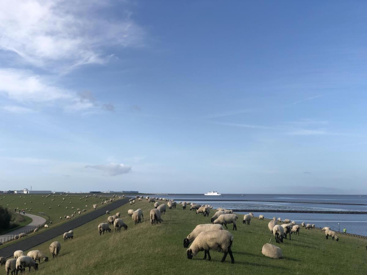 Wind Und Meer - Traumhaft An Der Nordsee Norddeich  Luaran gambar